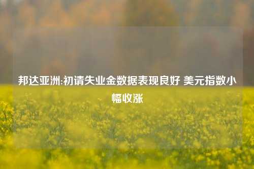 邦达亚洲:初请失业金数据表现良好 美元指数小幅收涨
