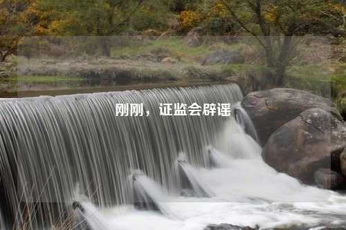 刚刚，证监会辟谣