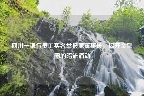 四川一银行员工实名举报原董事长，揭开金融圈的暗流涌动