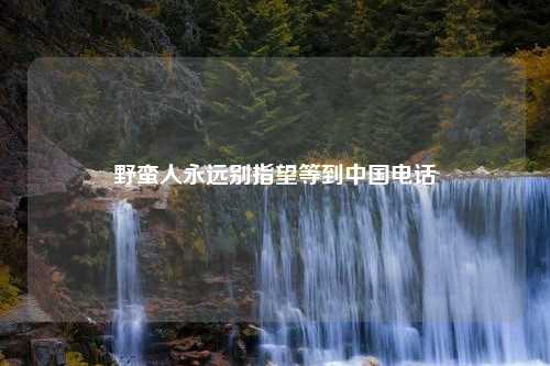 野蛮人永远别指望等到中国电话