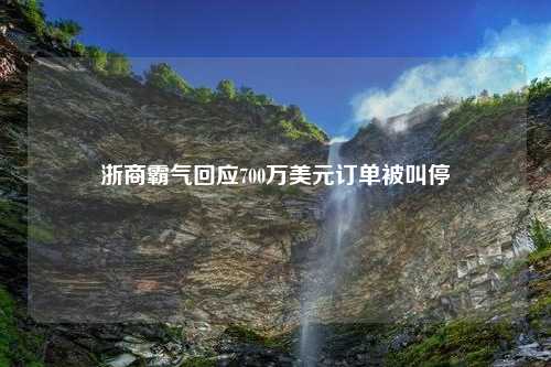 浙商霸气回应700万美元订单被叫停