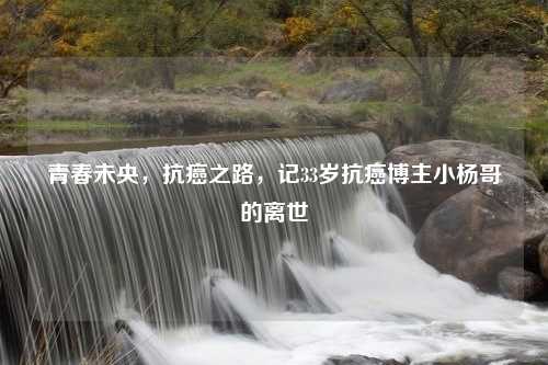 青春未央，抗癌之路，记33岁抗癌博主小杨哥的离世