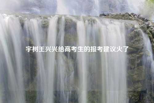 宇树王兴兴给高考生的报考建议火了